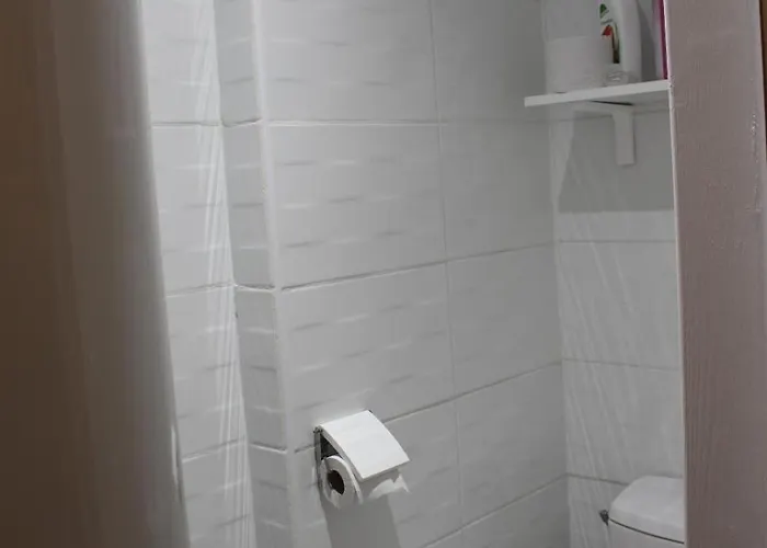 Bel Au Pied Des Pistes 9 Personnes